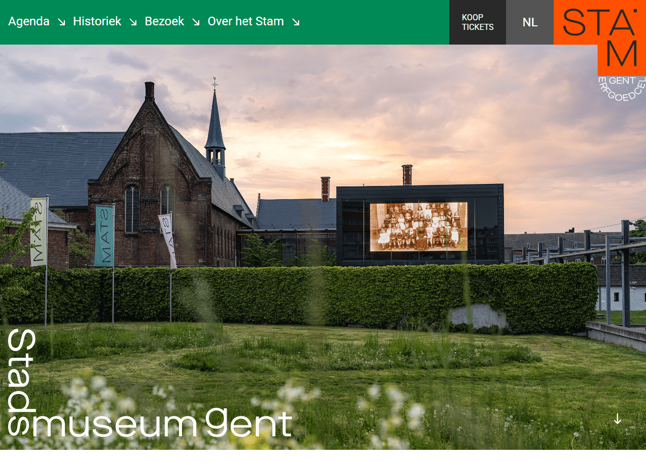 Screenshot of STAM website