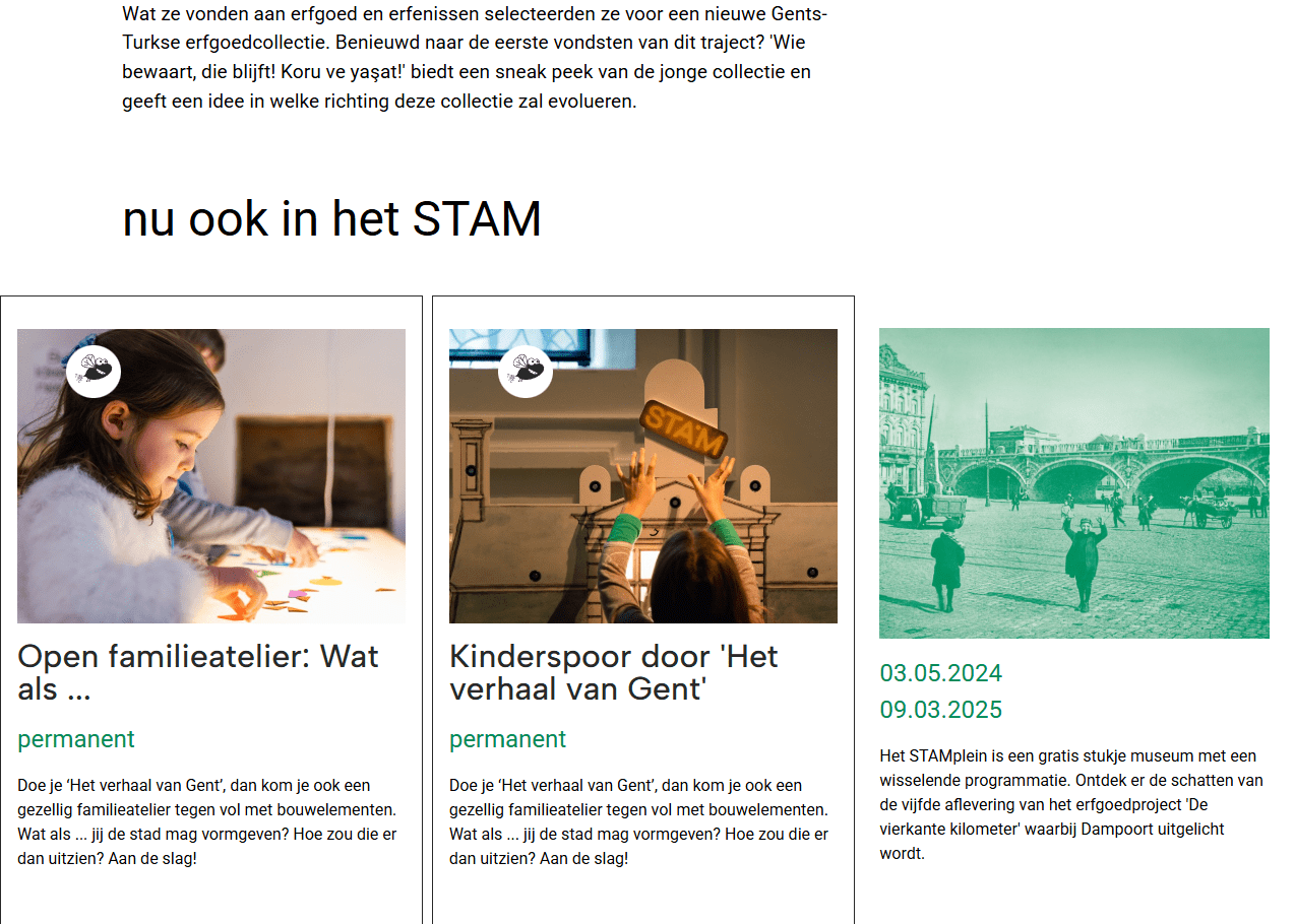 Screenshot of STAM website